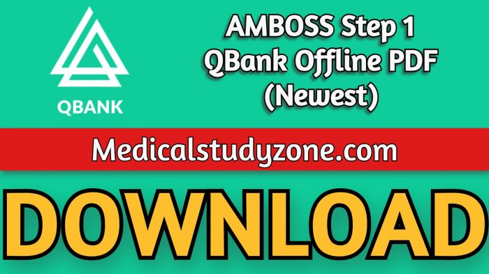 Amboss ethics step 2 pdf