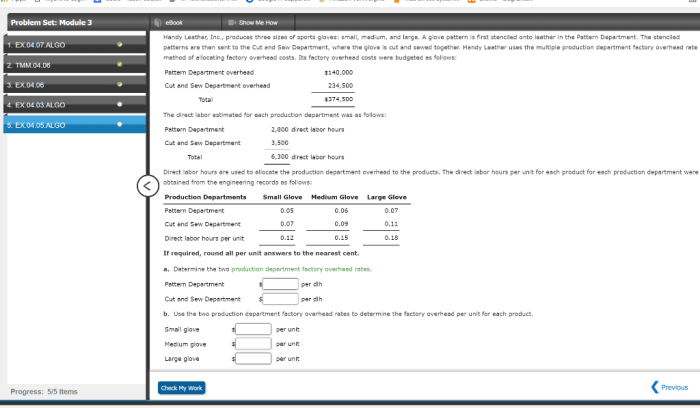 Acc 201 module 2 problem set