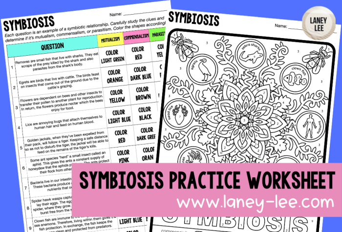 Color by number symbiosis answer key giraffe