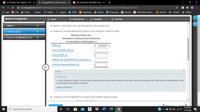 Acc 201 module 2 problem set