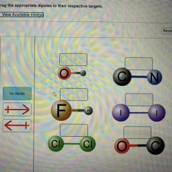 Drag the appropriate dipoles to their respective targets.