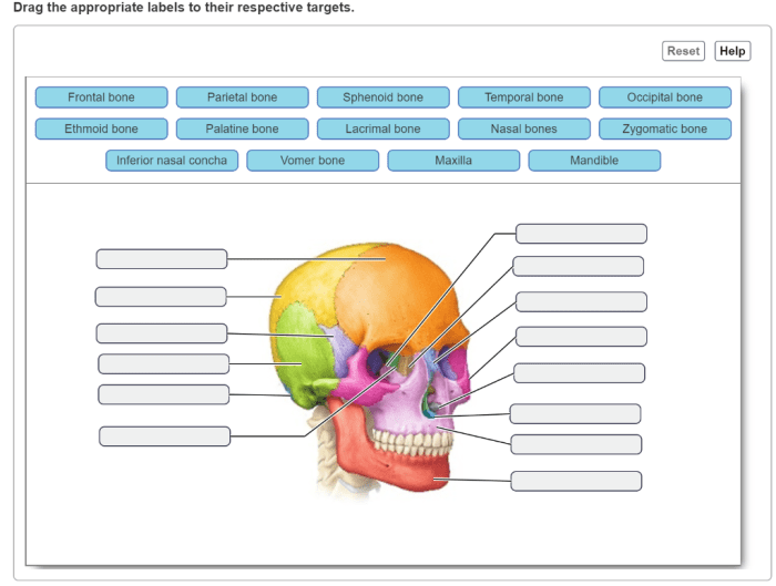 Drag the appropriate dipoles to their respective targets.