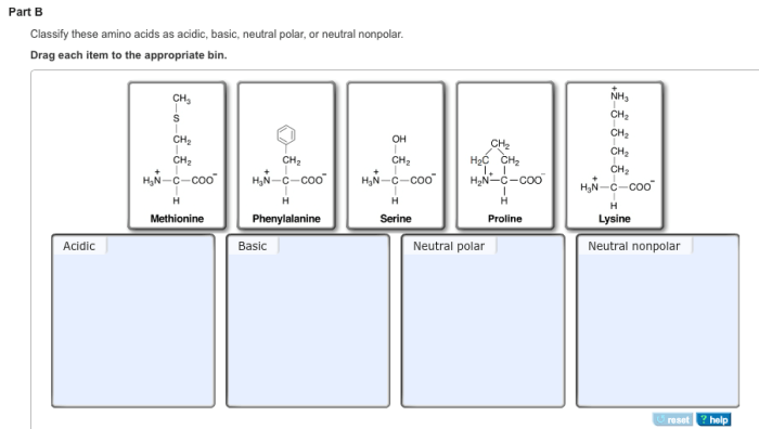 Acids overview acidic lysine leucine histidine valine phenylalanine proline arginine isoleucine alanine serine tyrosine methionine glutamic glycine asparagine threonine cysteine